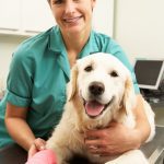 veterinary clinics in Cordele GA