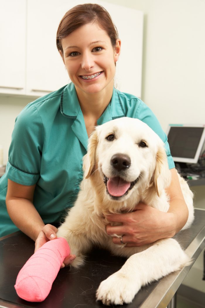 veterinary clinics in Cordele GA